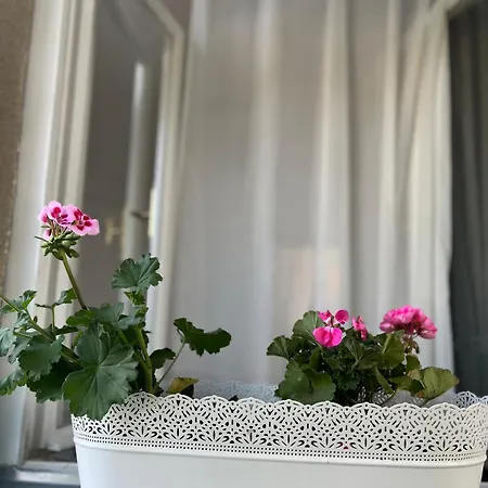 Mavino Apartment Záhřeb Exteriér fotografie